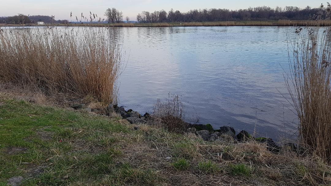 DAFV Länderfischen 2019 am Nord-Ostsee Kanal