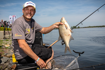 Geangelte Brasse aus der Havel