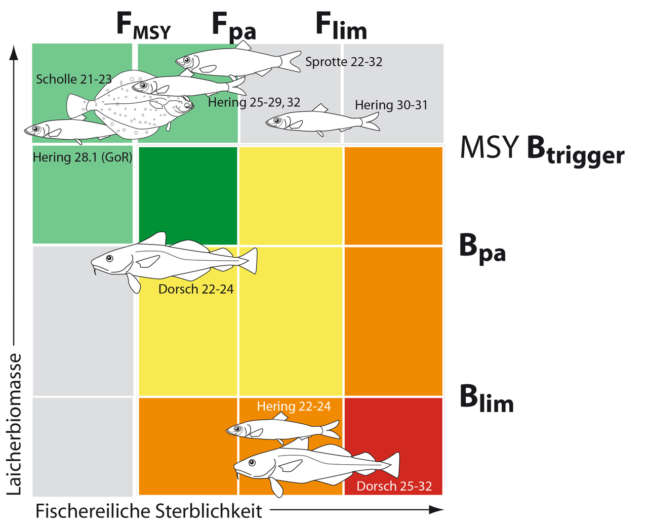 Angeln In Der Ostsee Deutscher Angelfischerverband E V