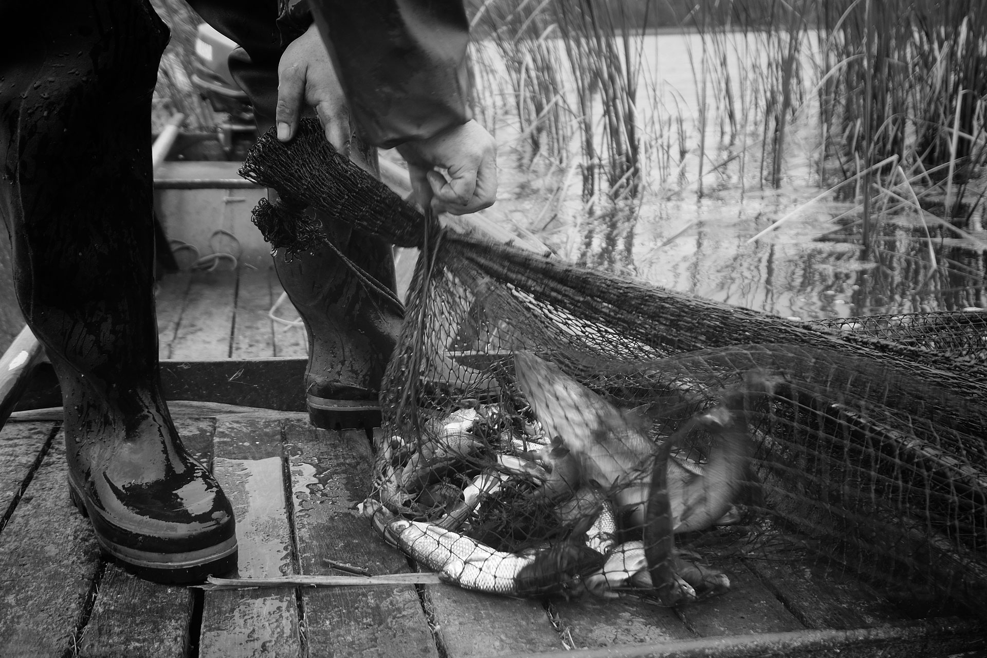 DAFV Berufsfischer Lemmy Jarosch