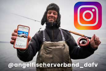 DAFV auf Instagram