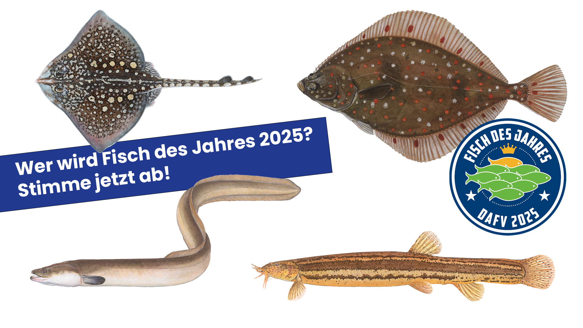 Aufruf zur Abstimmung zum Fisch des Jahres 2025