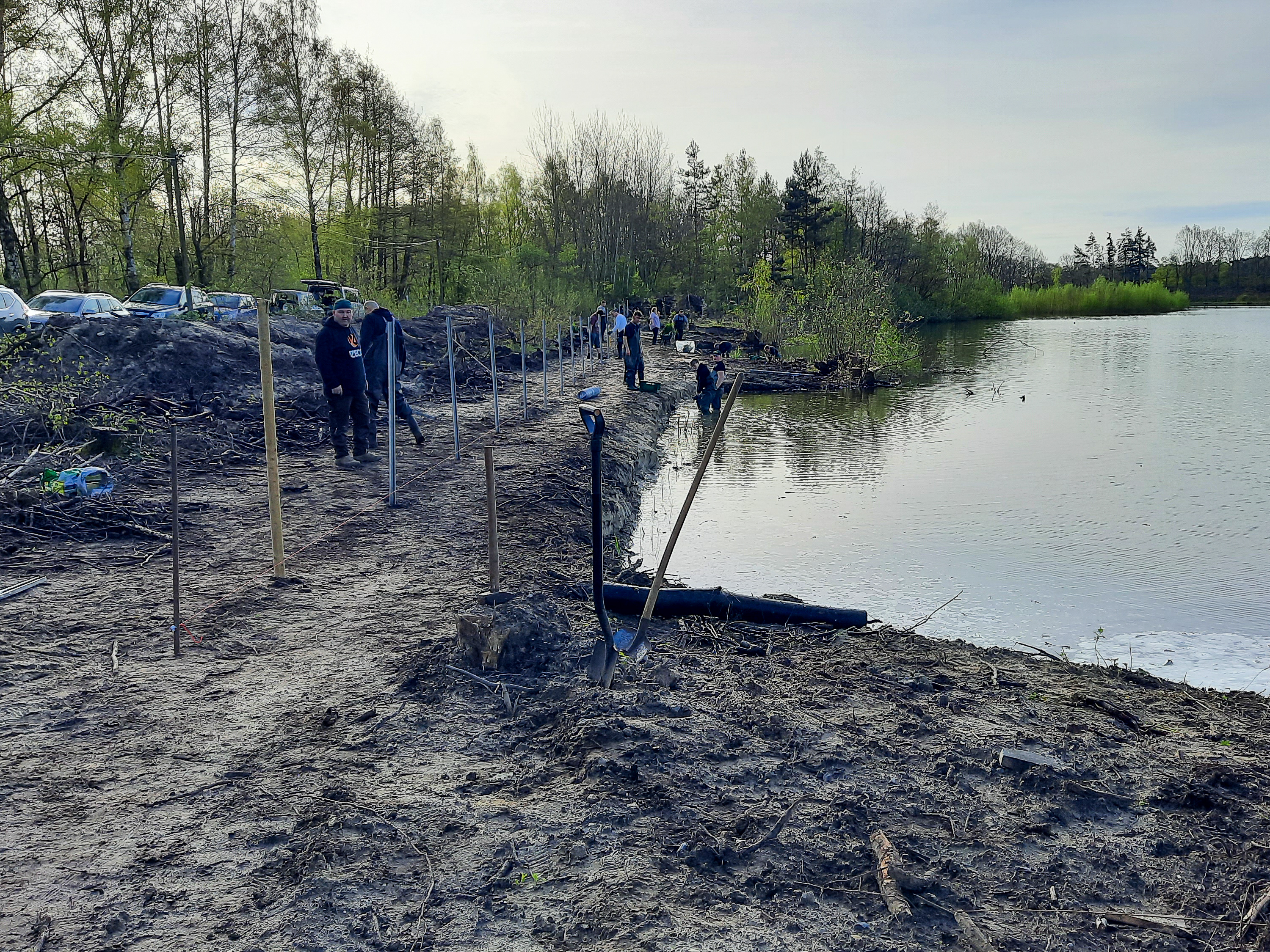 Mitglieder des SFV Rheda-Gütersloh e.V. pflanzten Schilf, Rohrkolben und Schwertlilien – die Grundlage für eine dauerhafte Röhrichtzone am Fehlesee, Foto: SFV Rheda-Gütersloh e.V.