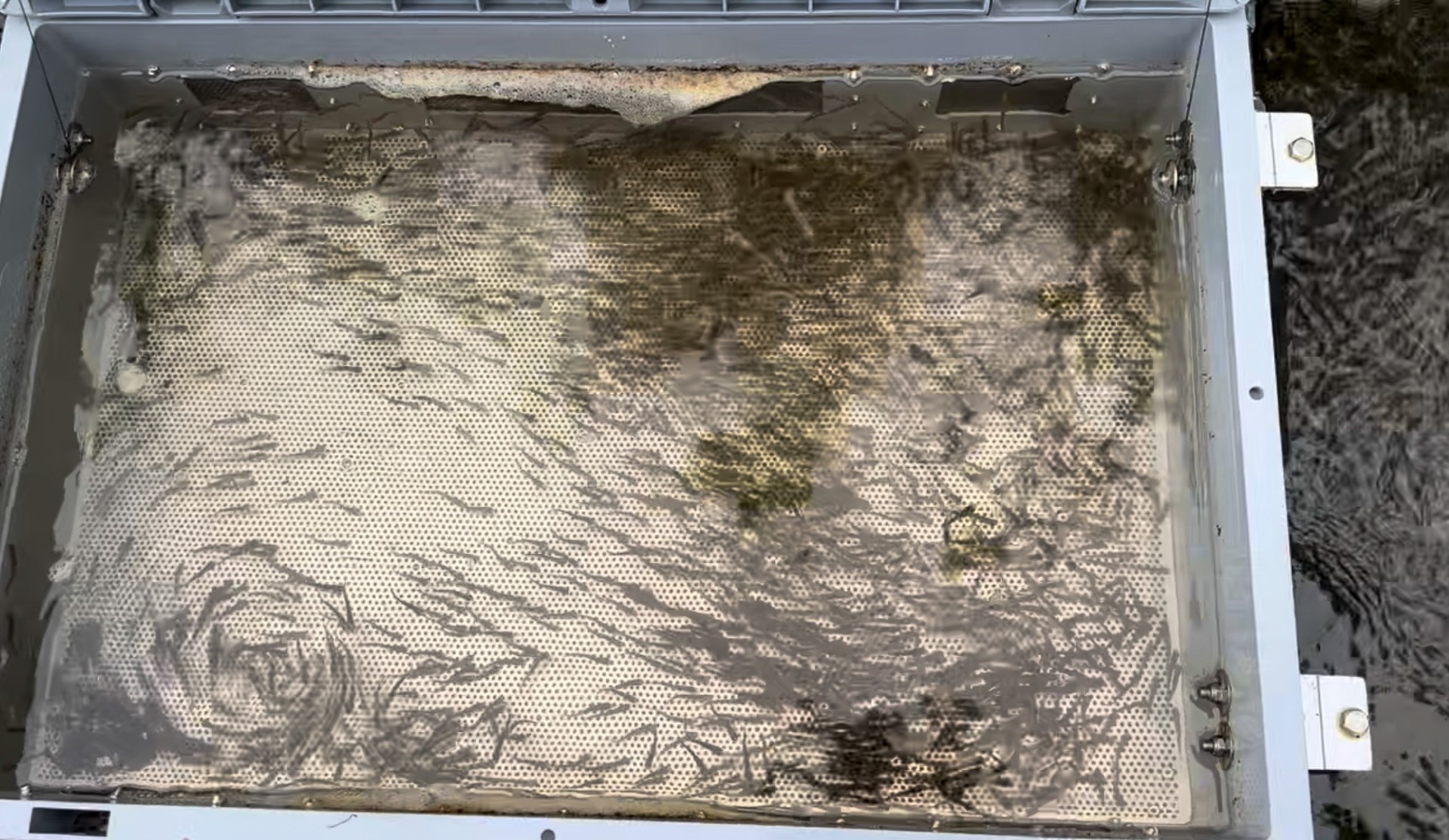 Brutboxen mit jungen Huchen des Fischerrings Geisenfeld in der Ilm, Foto: Fischerring Geisenfeld e.V.