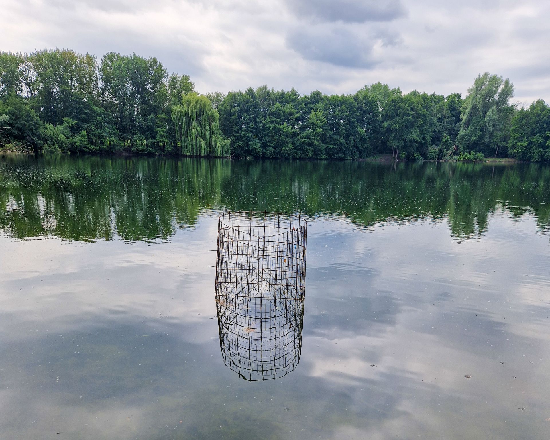 Zum Schutz der eingebrachten Wasserpflanzen wurden stabile Käfige im See verankert, Foto: Sven Buttler, ASV Pfungstadt e.V.