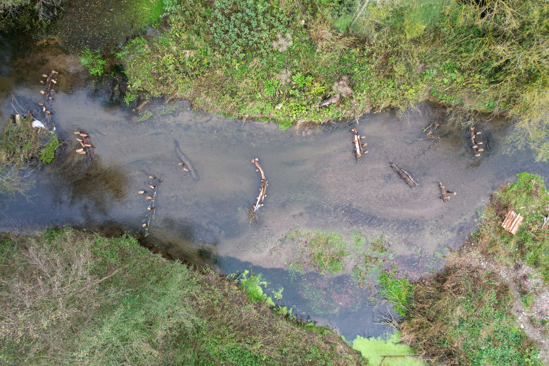 Luftaufnahme des renaturierten Flussabschnitts zeigt die sichtbaren Veränderungen und den Erfolg der umgesetzten Maßnahmen, Foto: planar e.V., Jens Eligehausen
