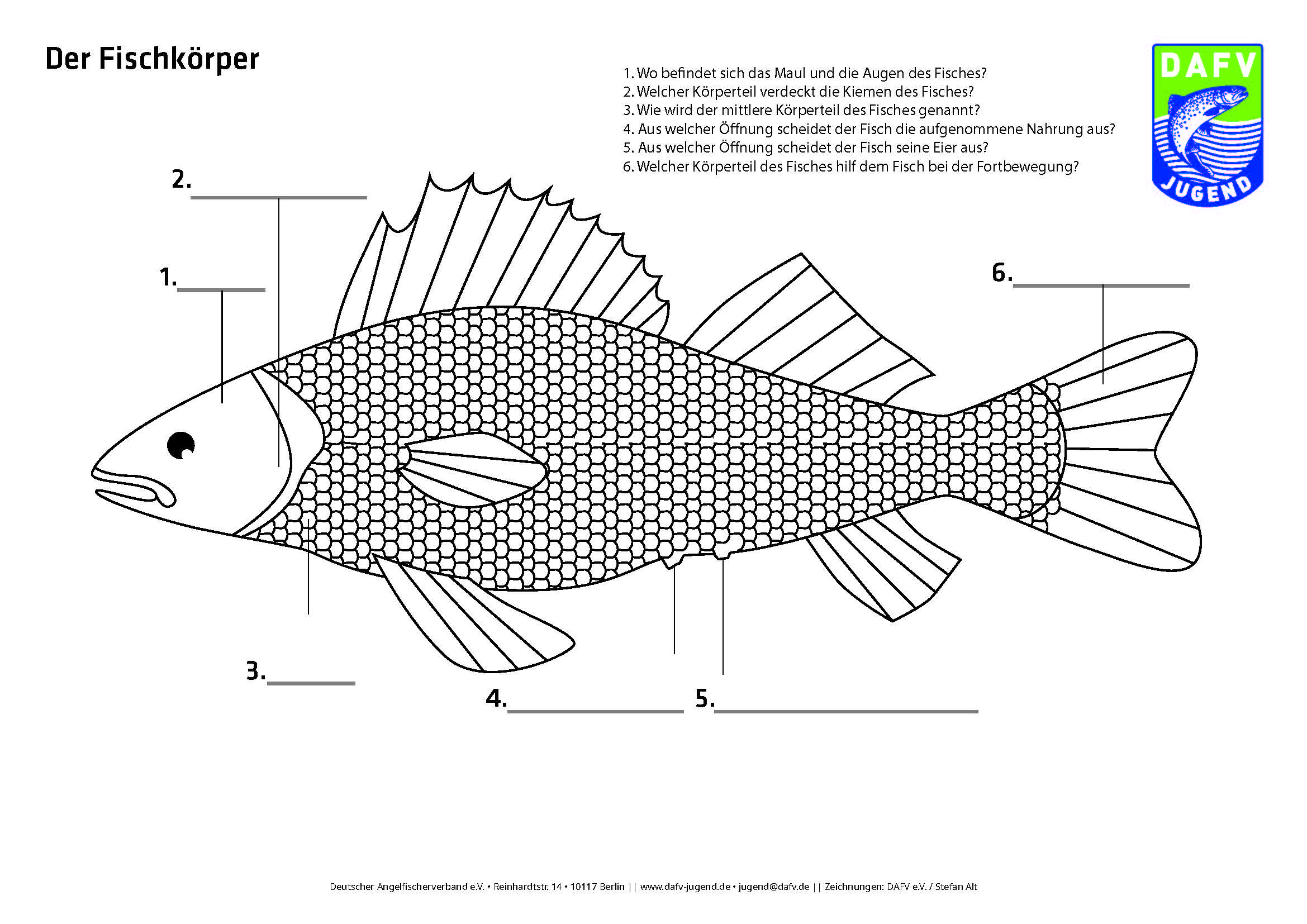 Arbeitsbogen 01 - Der Fischkörper