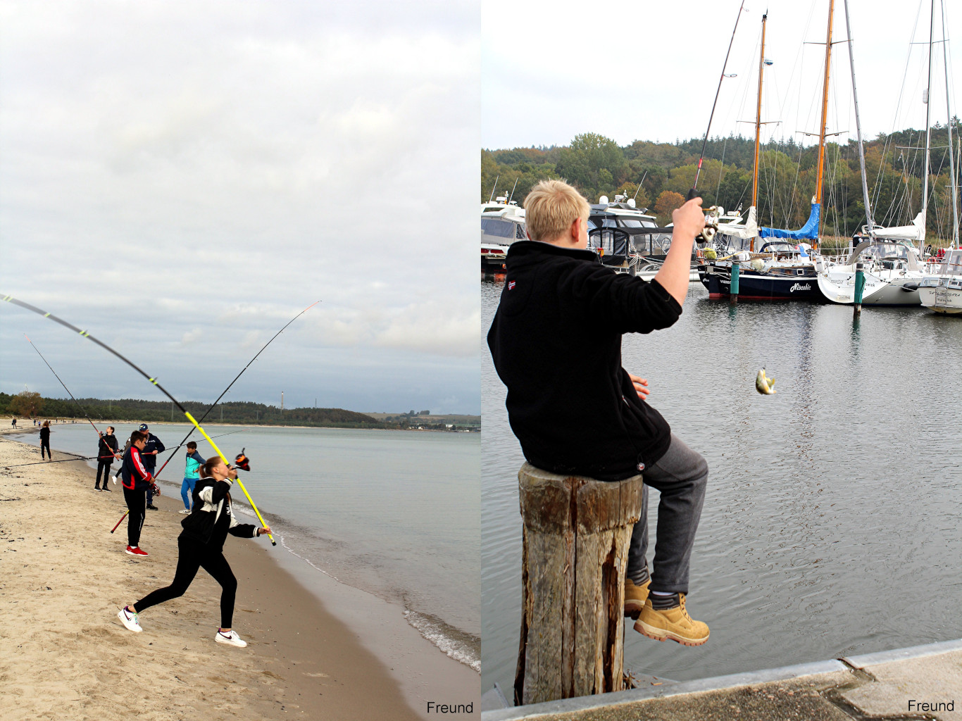 Brandungsangeln und Barschangeln im Hafen von Stralsund.