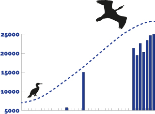 kormoran bestand chart