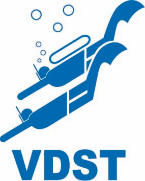 VDST logo
