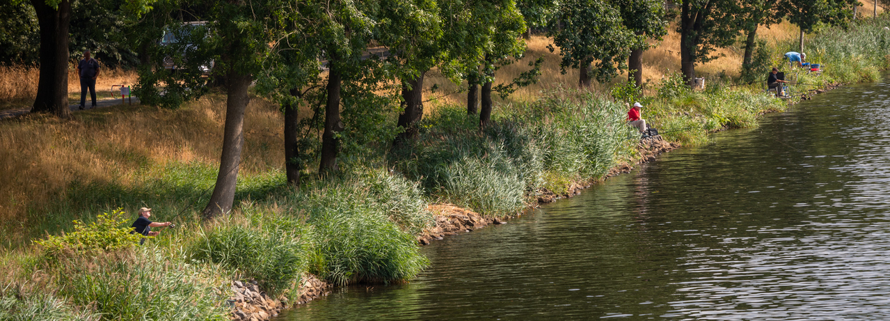 Angler beim DAFV Gemeinschaftsfischen an der Ems bei Dörpen
