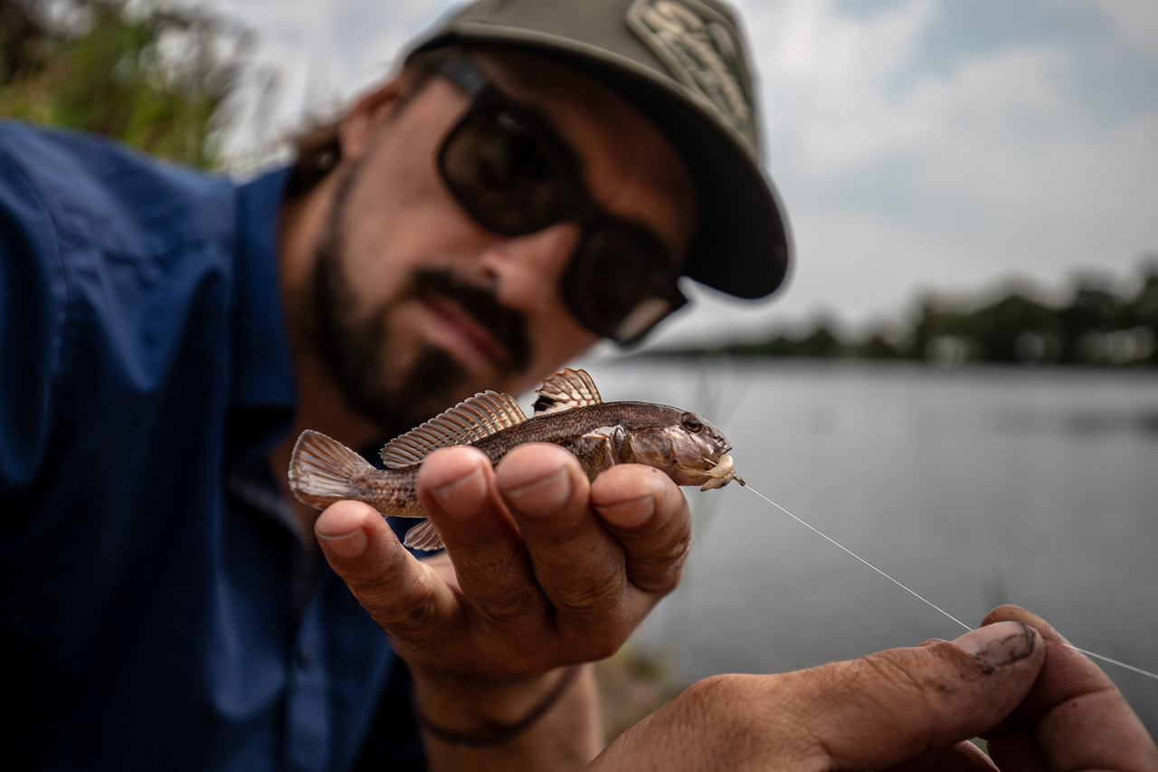 Alexander Seggelke Geschäftsführer des DAFV mit einer Schwarzmundgrundel