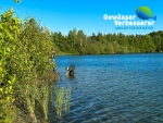 Schilfbepflanzung am Baggersee Niersbruch, Abbildung: Ludger Spronk, ASV Humbert e.V. 