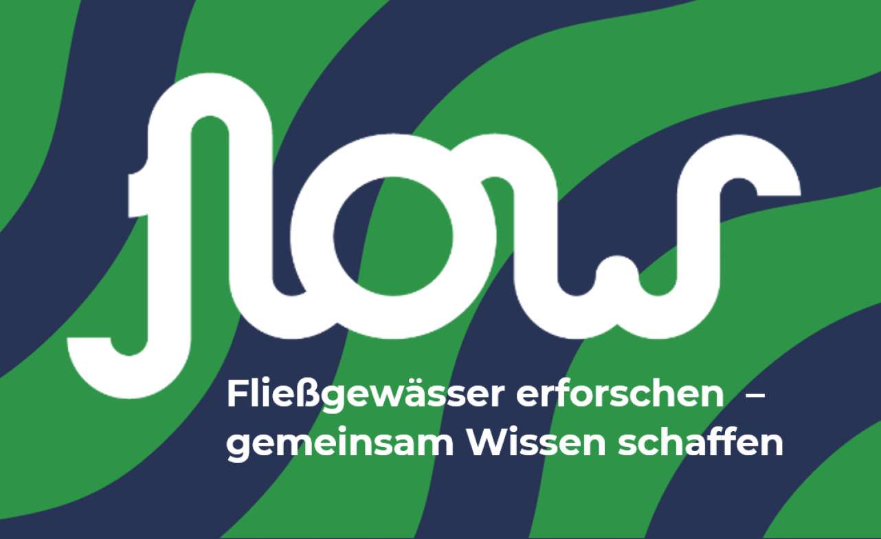 Citizen Science-Projekt FLOW: Fließgewässer erforschen – gemeinsam Wissen schaffen! 