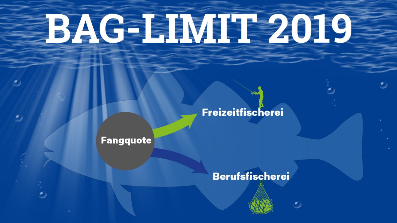 Bag-Limit 2019: Wissenschaft, Politik und DAFV einig – Aber…
