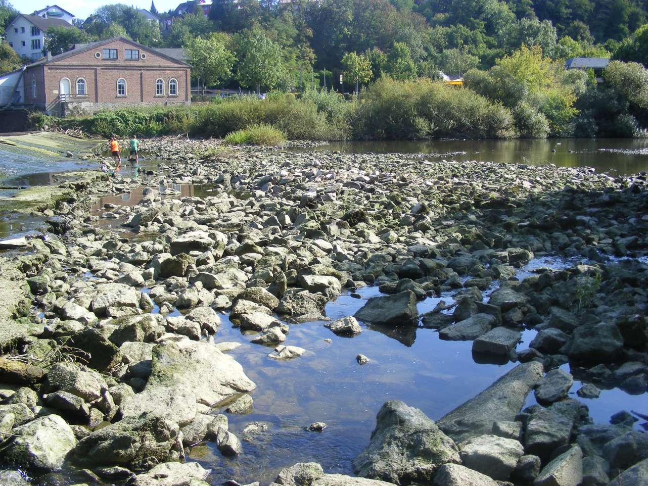 Wasserkraftnutzung und fehglende Restwassermengen setzten den Gewässern und den darin lebenden Fischen immer mehr zu. 