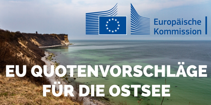 Die EU-Kommission legt einen Vorschlag für die Fangmöglichkeiten 2019 in der Ostsee vor. Für die Angler ist das Ergebnis enttäuschend.