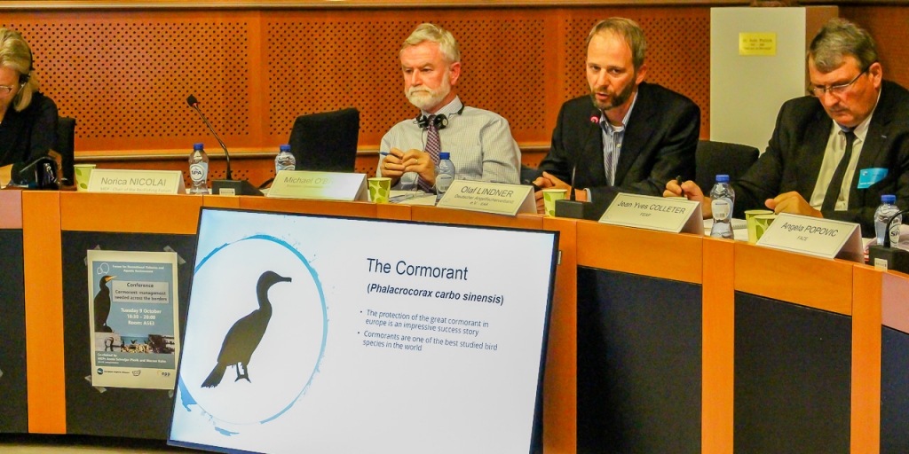 Olaf Lindner vom DAFV verdeutlicht in seiner Präsentation die Notwendigkeit für ein europäisches Kormoranmanagement auf Grundlage eines Populationsmodells.