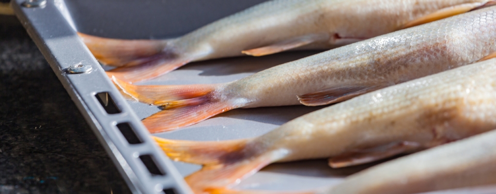 Die Ressource Fisch wird immer knapper. Die Verbraucherpreise für Fisch stiegen im Juni 2017 um 3,4% gegenüber dem Vorjahr.