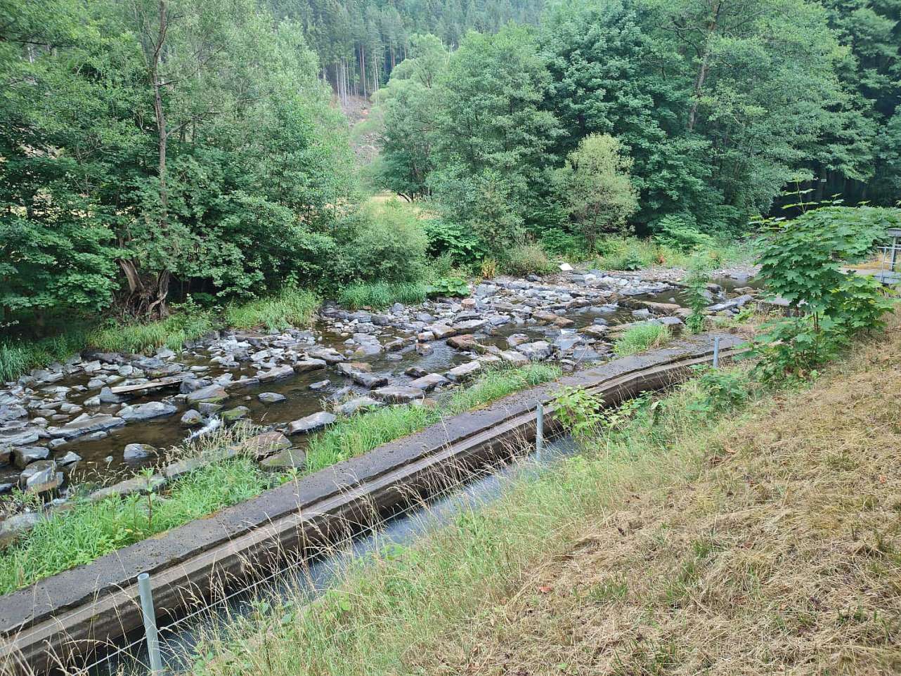 Fehlende Restwassermengen aufgrund von Anlagen der kleinen Wasserkraft an der Schwarza. 