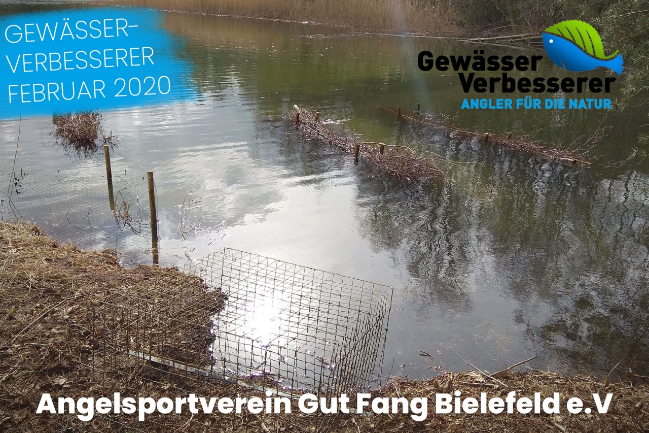 Der Angelsportverein Gut Fang Bielefeld e.V. hat ein altes „Baggerloch“ mit den üblichen Problemen im Rahmen eines Aufwertungsprojektes verbessert. 
