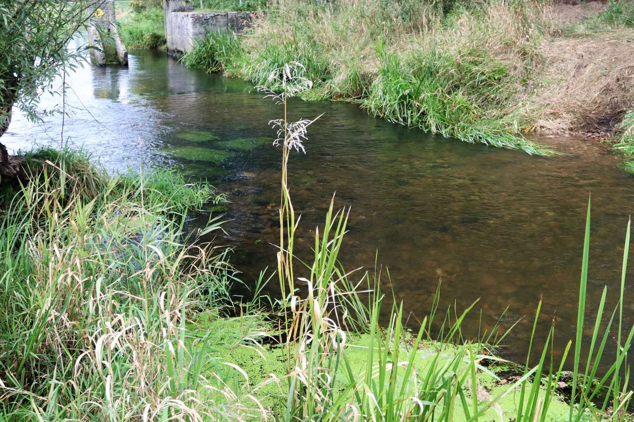 Am ehemaligen Dossower Wehr wurde durch Einbringen von Kies und Steinen ein neues Laich- und Jungfischhabitat geschaffen. 