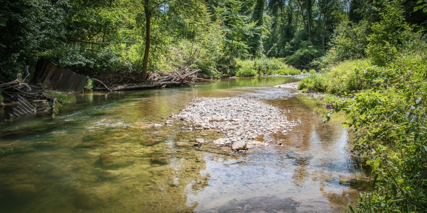 Flusslandschaft der Jahre 2020/2021 gesucht