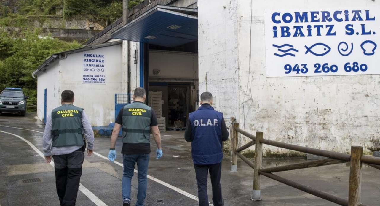 Ermittler durchsuchen sämtliche Standorte eines großen Europäischen Aalhändlers im französisch-spanischen Baskenland